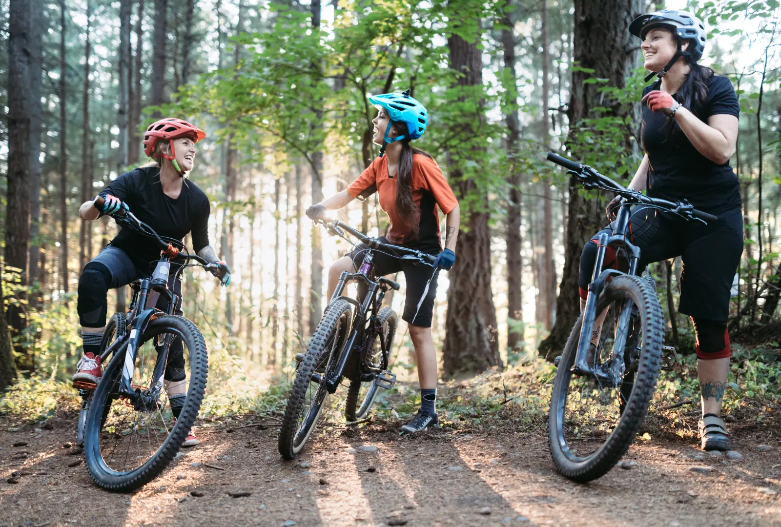 Go Bike NZ website project